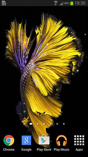 Screenshots of the live wallpaper Betta fish for Android phone or tablet.