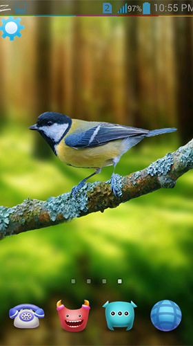 Full version of Android apk livewallpaper Birds 3D by AppQueen Inc. for tablet and phone.
