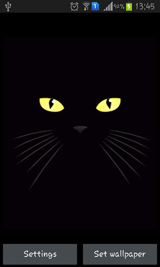 Screenshots of the live wallpaper Black cat for Android phone or tablet.
