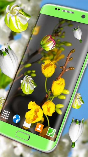 Full version of Android apk livewallpaper Blossoms 3D for tablet and phone.