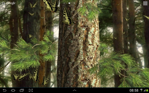 Screenshots of the live wallpaper Butterfly 3D for Android phone or tablet.