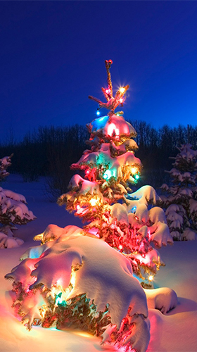 Full version of Android apk livewallpaper Christmas tree by Live Wallpaper Workshop for tablet and phone.
