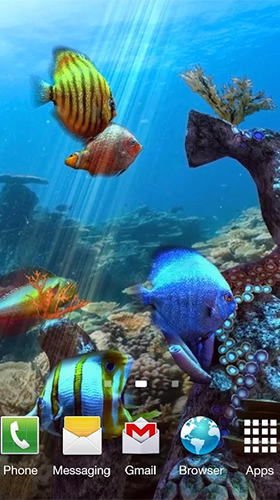 Full version of Android apk livewallpaper Clownfish aquarium 3D for tablet and phone.
