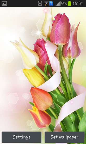 Screenshots of the live wallpaper Colorful tulips for Android phone or tablet.