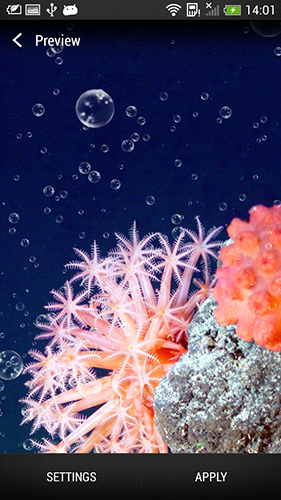 Screenshots of the live wallpaper Coral reef for Android phone or tablet.
