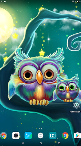 Full version of Android apk livewallpaper Cute owls for tablet and phone.