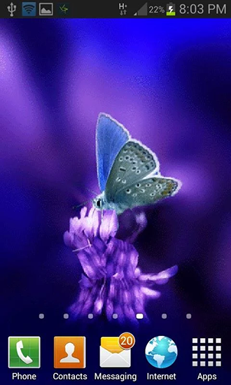 Screenshots of the live wallpaper Cute butterfly by Daksh apps for Android phone or tablet.