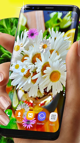 Full version of Android apk livewallpaper Daisies HQ for tablet and phone.