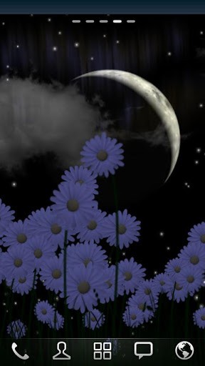 Screenshots of the live wallpaper Daisies for Android phone or tablet.