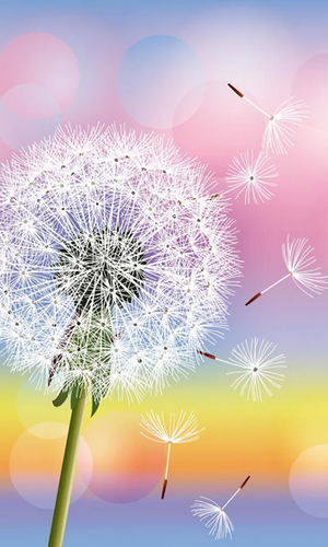 Screenshots of the live wallpaper Dandelion for Android phone or tablet.