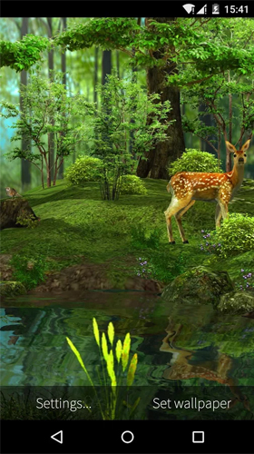 Full version of Android apk livewallpaper Deer and nature 3D for tablet and phone.