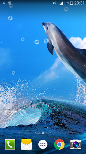 Full version of Android apk livewallpaper Dolphin by Live wallpaper HD for tablet and phone.