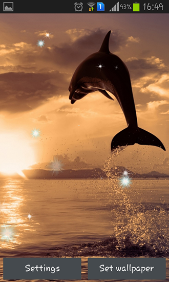 Screenshots of the live wallpaper Dolphins for Android phone or tablet.