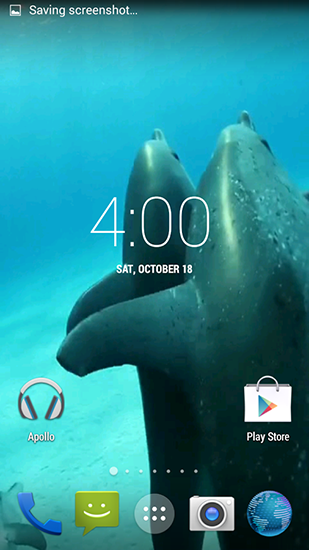 Screenshots of the live wallpaper Dolphins HD for Android phone or tablet.