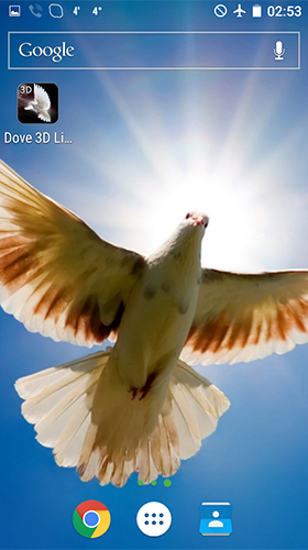 Full version of Android apk livewallpaper Dove 3D for tablet and phone.