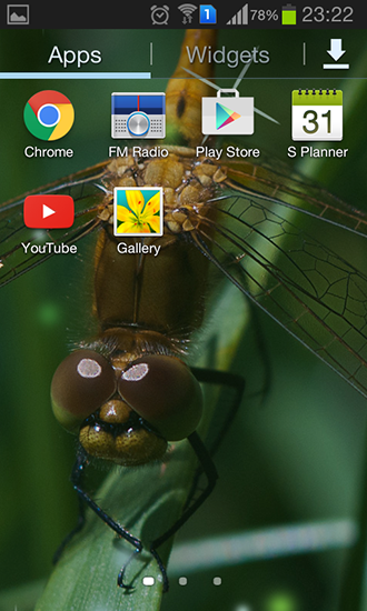Screenshots of the live wallpaper Dragonfly for Android phone or tablet.