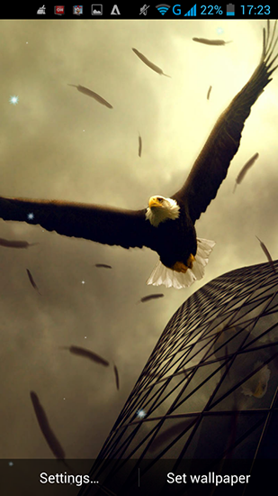 Screenshots of the live wallpaper Eagle for Android phone or tablet.