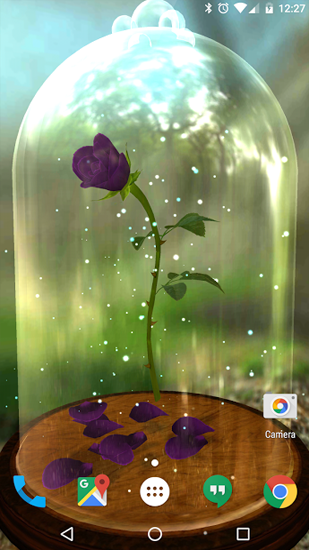 Full version of Android apk livewallpaper Enchanted Rose for tablet and phone.