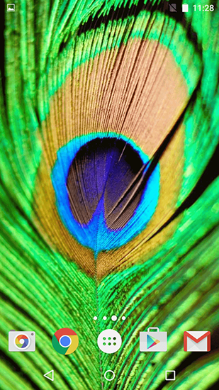 Screenshots of the live wallpaper Feathers for Android phone or tablet.