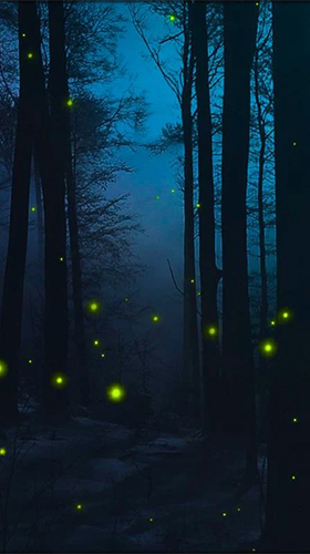 Full version of Android apk livewallpaper Fireflies 3D by Live Wallpaper HD 3D for tablet and phone.