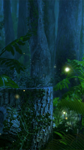 Full version of Android apk livewallpaper Fireflies by Wallpapers and Backgrounds Live for tablet and phone.