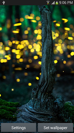 Screenshots of the live wallpaper Fireflies by Top live wallpapers hq for Android phone or tablet.