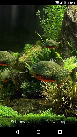 Screenshots of the live wallpaper Fish aquarium 3D for Android phone or tablet.