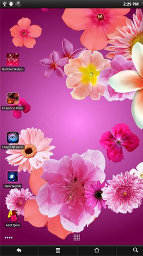 Full version of Android apk livewallpaper Flowers by PanSoft for tablet and phone.