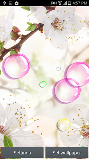 Screenshots of the live wallpaper Flowers 2015 for Android phone or tablet.