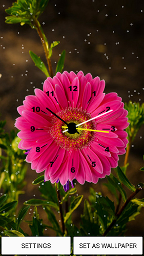 Screenshots of the live wallpaper Flowers clock for Android phone or tablet.