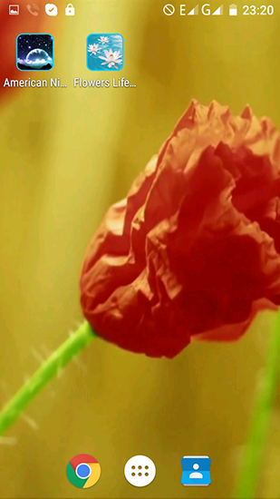 Screenshots of the live wallpaper Flowers life for Android phone or tablet.
