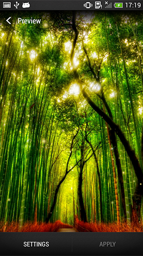 Full version of Android apk livewallpaper Forest by Wallpapers and Backgrounds Live for tablet and phone.