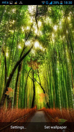 Screenshots of the live wallpaper Forest by Pro live wallpapers for Android phone or tablet.