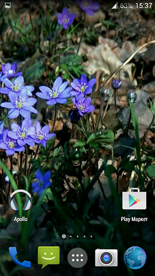 Screenshots of the live wallpaper Forest flowers for Android phone or tablet.