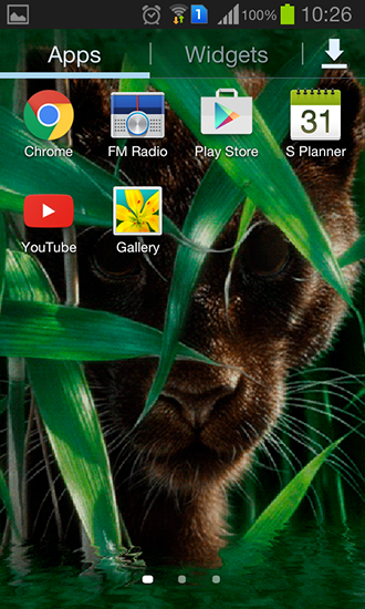 Screenshots of the live wallpaper Forest panther for Android phone or tablet.