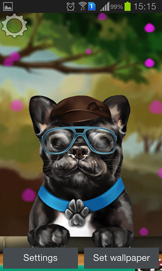 Screenshots of the live wallpaper French bulldog for Android phone or tablet.