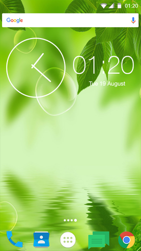 Full version of Android apk livewallpaper Fresh Leaves for tablet and phone.