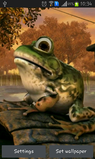 Screenshots of the live wallpaper Frog 3D for Android phone or tablet.