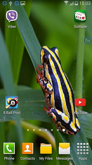 Screenshots of the live wallpaper Frogs: shake and change for Android phone or tablet.