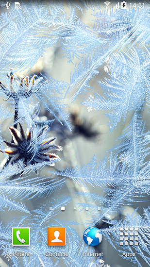 Screenshots of the live wallpaper Frozen flowers for Android phone or tablet.