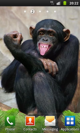 Screenshots of the live wallpaper Funny monkey for Android phone or tablet.