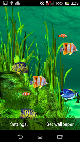 Full version of Android apk livewallpaper Galaxy aquarium for tablet and phone.