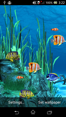 Screenshots of the live wallpaper Galaxy aquarium for Android phone or tablet.