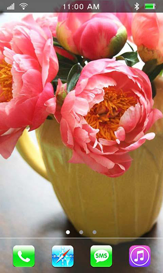 Screenshots of the live wallpaper Garden peonies for Android phone or tablet.