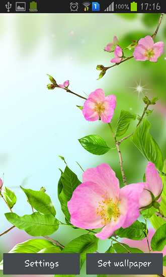 Screenshots of the live wallpaper Gentle flowers for Android phone or tablet.