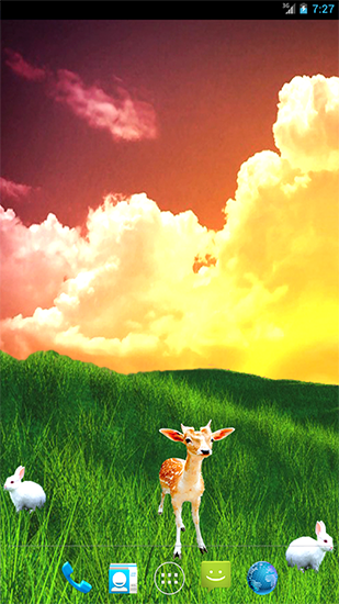 Screenshots of the live wallpaper Grassland for Android phone or tablet.