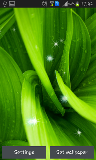Screenshots of the live wallpaper Green leaves for Android phone or tablet.