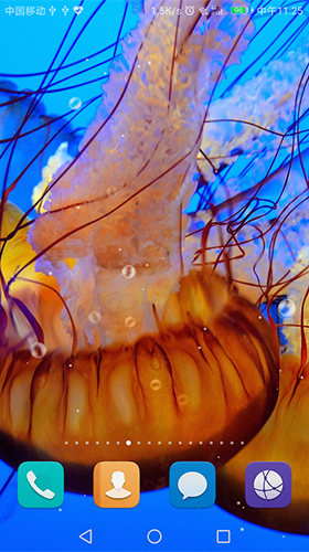 Full version of Android apk livewallpaper Jellyfish by live wallpaper HongKong for tablet and phone.
