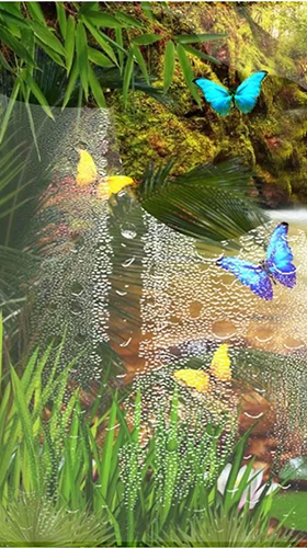 Full version of Android apk livewallpaper Jungle waterfall for tablet and phone.