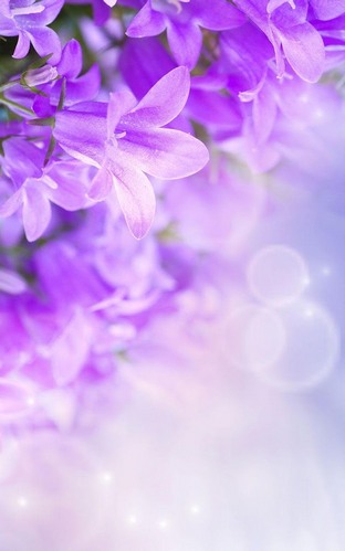 Screenshots of the live wallpaper Lilac flowers for Android phone or tablet.